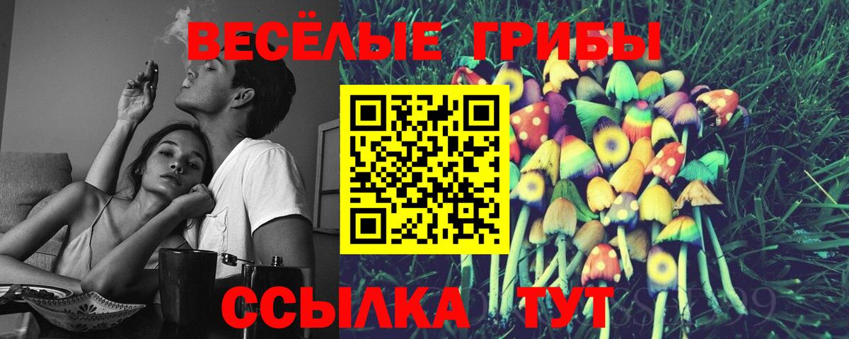 Кстово  Галлюциногенные грибы мицелий  Вход с VPN  Галлюциногенные грибы MAGIC MUSHROOMS 