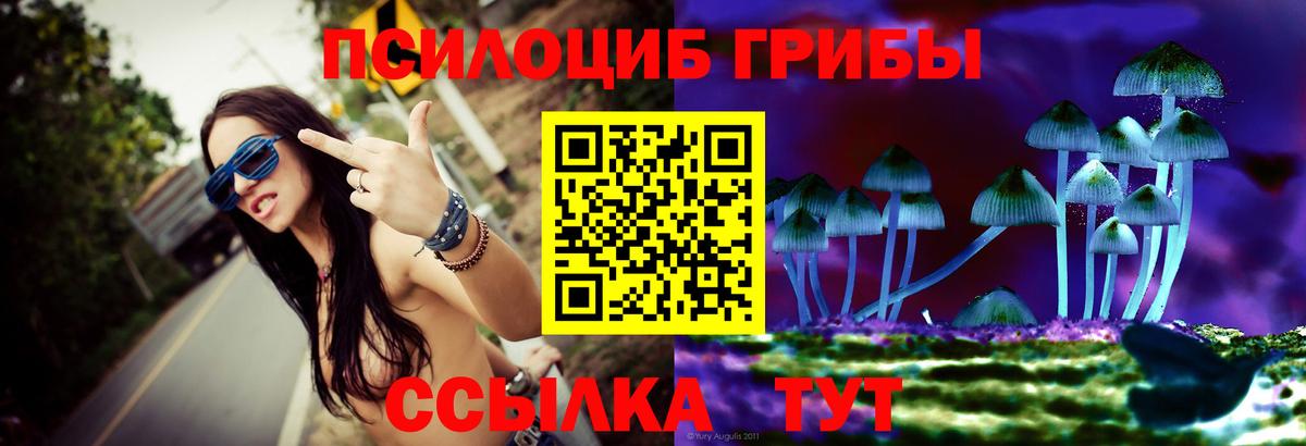 Псилоцибиновые грибы ЛСД Кстово